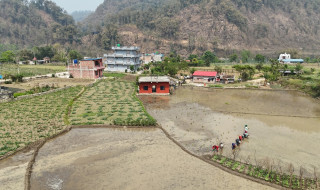 चैते धानखेतीमा किसानलाई आकर्षित गर्न अनुदान