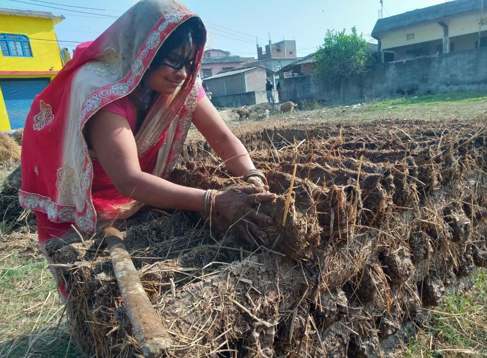 बर्खायामको इन्धन ‘गुइँठा’ जोहो गर्न महोत्तरीका गृहिणी व्यस्त