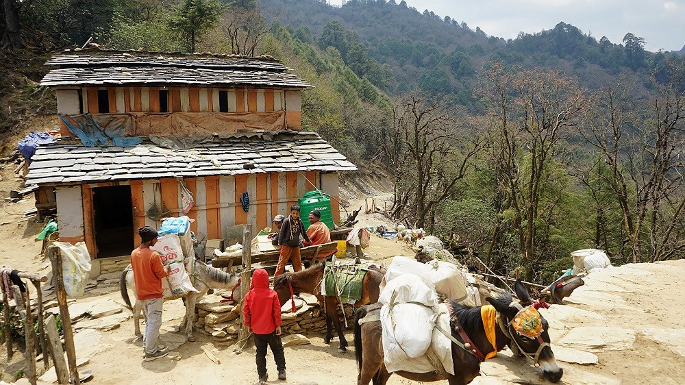 खच्चडबाट सामान ढुवानी