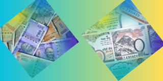 भारूसँगको विनिमय दर पुनरावलोकन गर्न अध्ययन अघि बढाउँदै सरकार