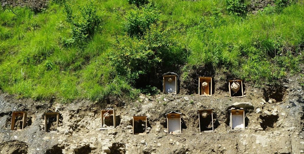 म्याग्दीमा व्यावसायिक अरिंगालपालन, जोखिम मोल्दै आम्दानी गर्दै शाही दम्पती