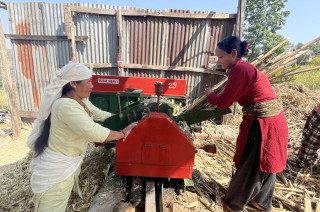 सिँचाइ अभावमा बाँझो बसेका खेतबारीमा उखुखेती, गुड र खुदोबाट प्रशस्त आम्दानी