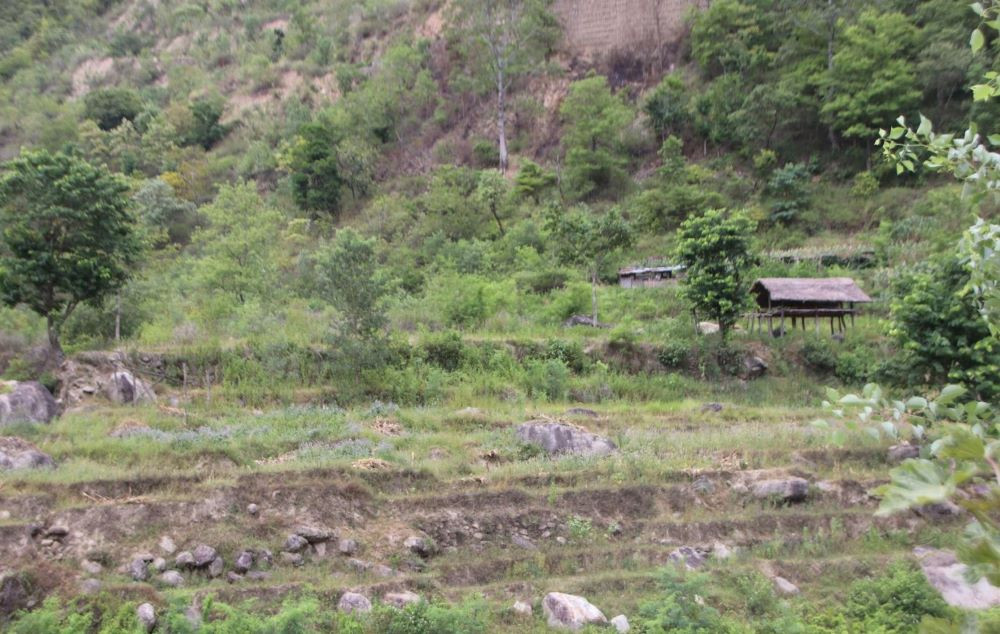 तमोर करिडोरले सिँचाइ कुलोमा क्षति पुर्‍याउँदा पाँचथरका खेतबारी बाँझै