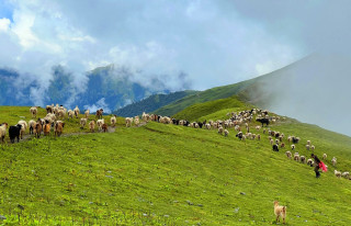 पदयात्राका लागि उत्कृष्ट गन्तव्य बन्दै ‘बुकीपाटन’