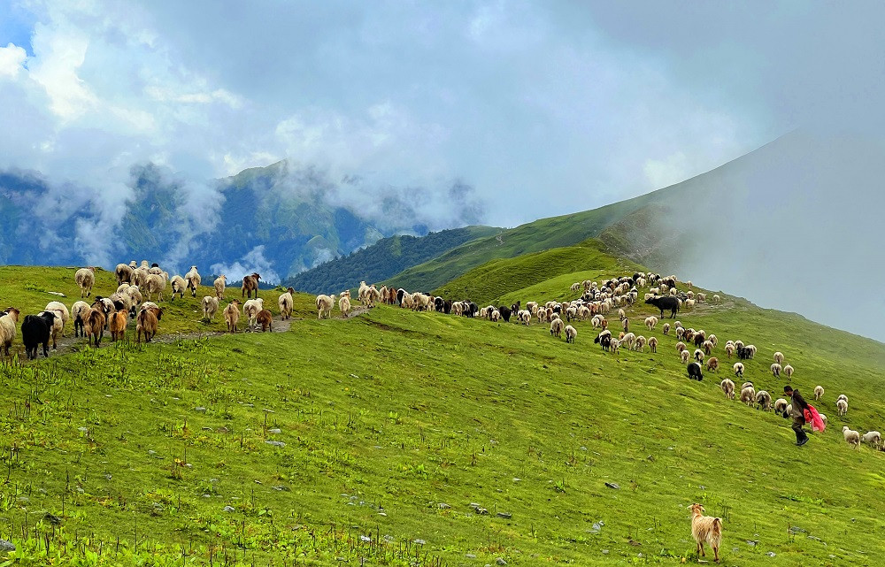 पदयात्राका लागि उत्कृष्ट गन्तव्य बन्दै ‘बुकीपाटन’