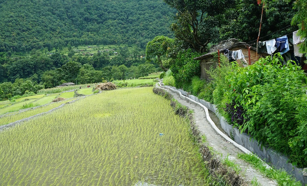 म्याग्दीमा ५२ हेक्टरमा सिँचाइ सुविधा विस्तार