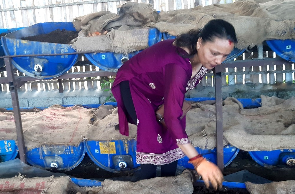 गँड्यौला मलको व्यावसायिक उत्पादनमा लक्ष्मी र टीकामाया, बढ्दैछ माग