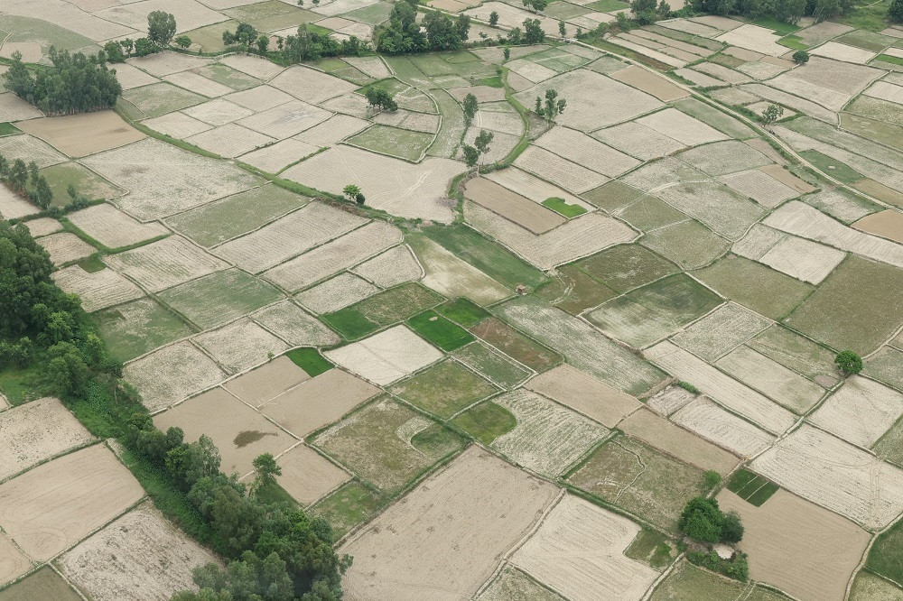 tarai madhes.jpg