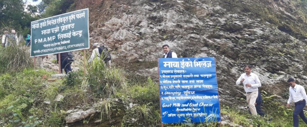 कृषि सिकाइको पाठशाला बन्दै ‘माया इको भिलेज एकीकृत कृषि फार्म’