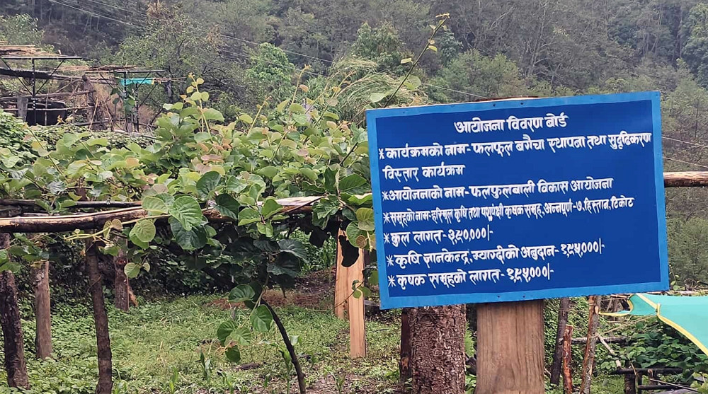 फलफूल, तरकारी र मसालाबाली खेती गर्ने किसानलाई गण्डकी प्रदेशमा २ करोड १२ लाख अनुदान