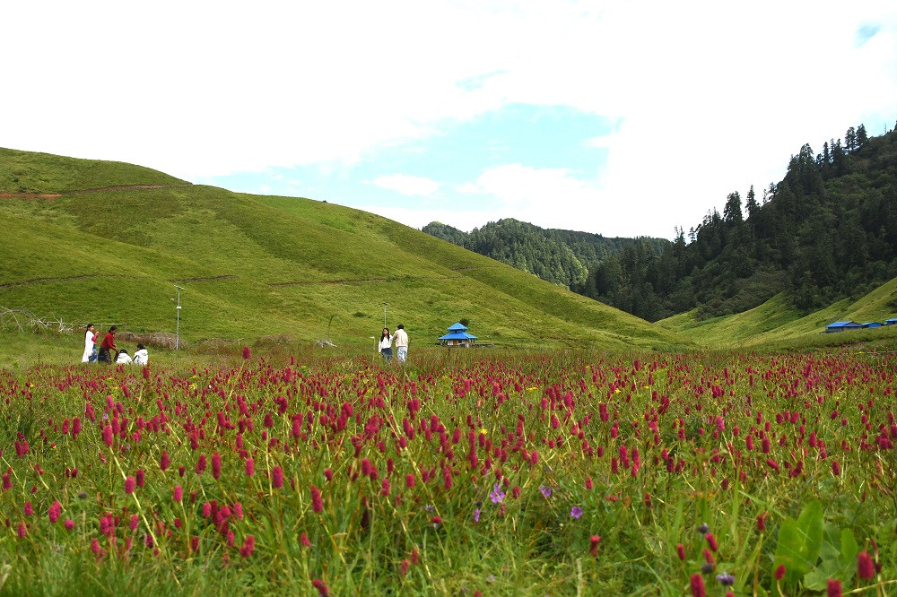 jaljala rolpa.jpg