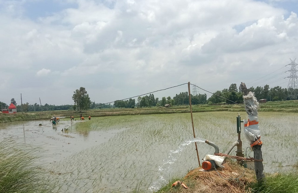 अर्घाखाँचीमा तीन हजार ११८ हेक्टर जमिनमा सिँचाइ सुविधा