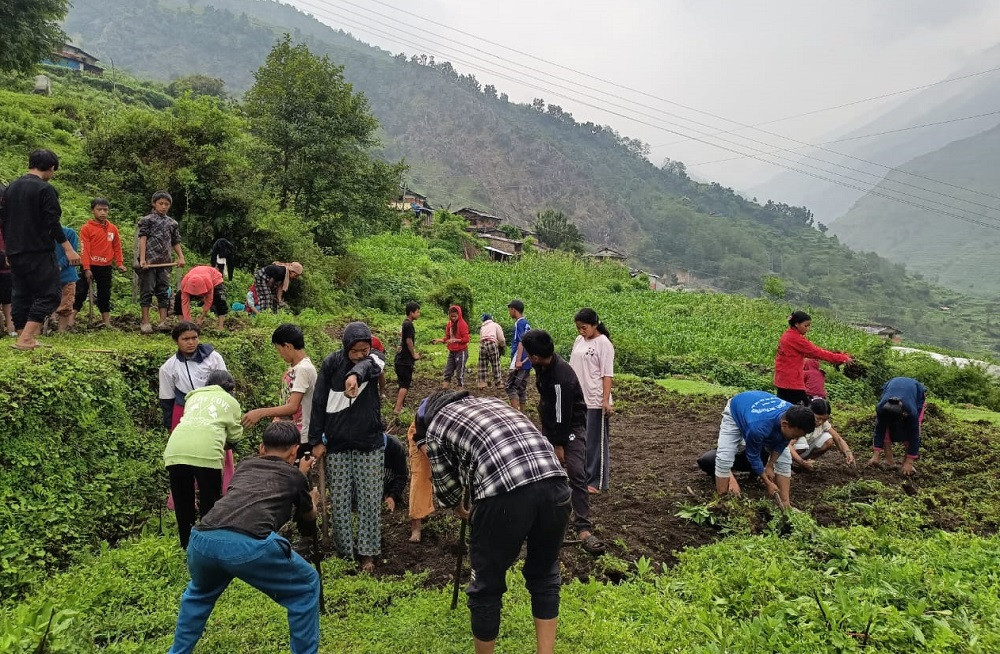 ‘धवलागिरिको इच्छा, गरिखाने शिक्षा’ : शिक्षक र विद्यार्थी आफै तरकारी उत्पादनमा