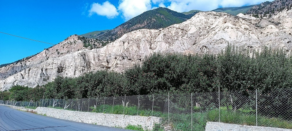 मार्फाको स्याउ बगैँचा