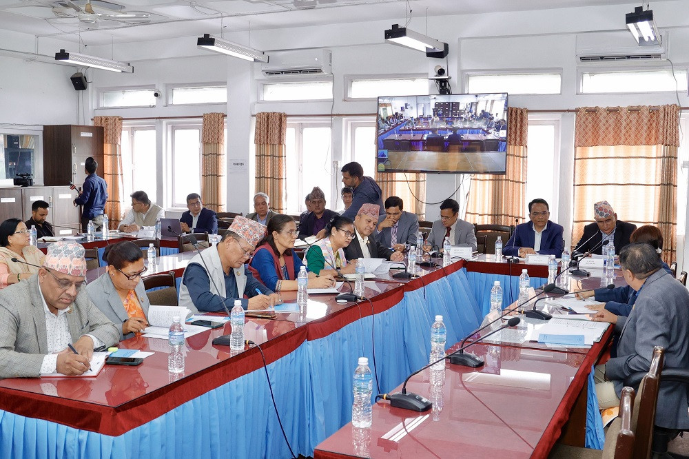 वैकल्पिक विकास वित्त विधेयकमाथि अर्थ समितिमा छलफल