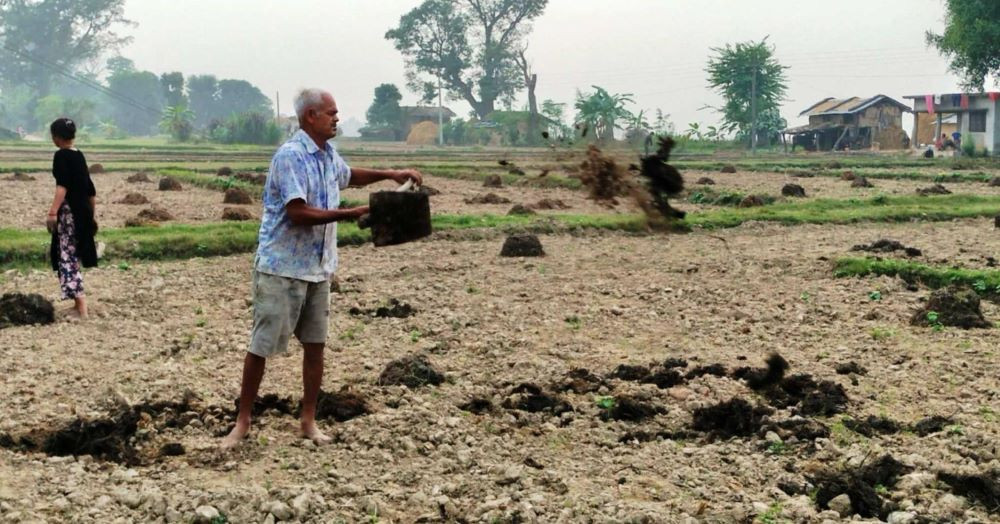 अधियाँ खेतीमा निर्भर छन् भूमिहीन परिवार