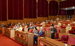मल, बीउ र सिँचाइको व्यवस्था गर्न सांसदको अनुरोध
