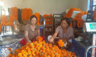 सयपत्री फूलको माग धान्न धौधौ