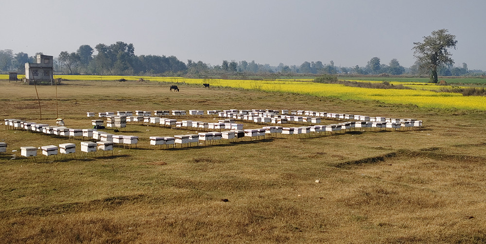 महबाटै वार्षिक करोड रुपैयाँको कारोबार गर्छन् विनोद