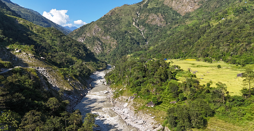 माथिल्लो अरुण जलविद्युत आयोजना निर्माणका लागि दुई हजार बढी रुख काटियो