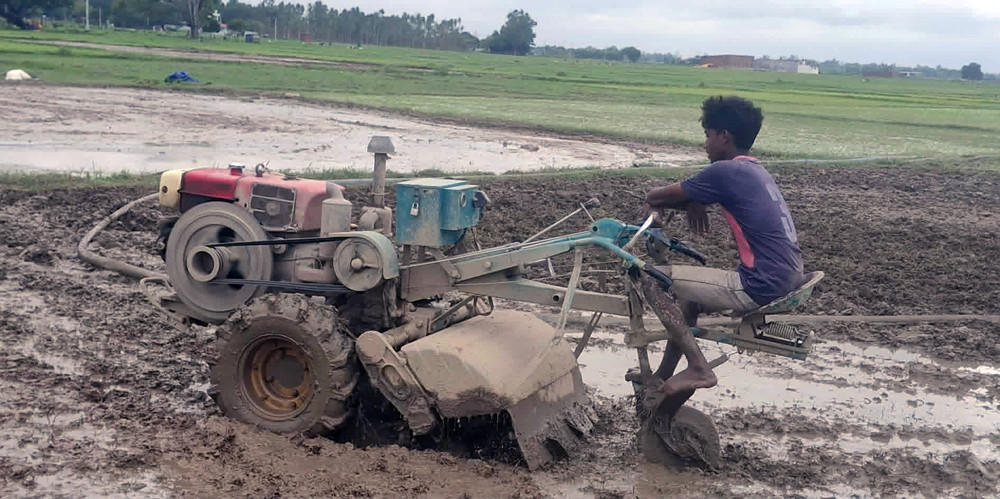 रोपाइँमा बढ्यो ट्याक्टर र पावर टिलरको प्रयोग