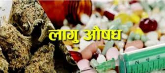 लागुऔषधविरुद्ध अभियानः झापामा ५५९ जना पक्राउ