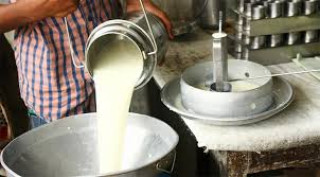 डिडिसीले मङ्सिरदेखि सङ्कलन गरेको दूधको ६ करोड भुक्तानी रोकेपछि किसान मर्कामा
