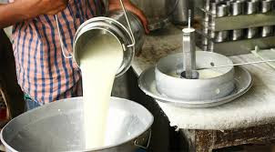 डिडिसीले मङ्सिरदेखि सङ्कलन गरेको दूधको ६ करोड भुक्तानी रोकेपछि किसान मर्कामा