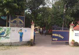 चितवनमा बढ्दो चिन्ता चोरी र लागुऔषध अपराधमा बालबालिकाको प्रयोग तीव्र