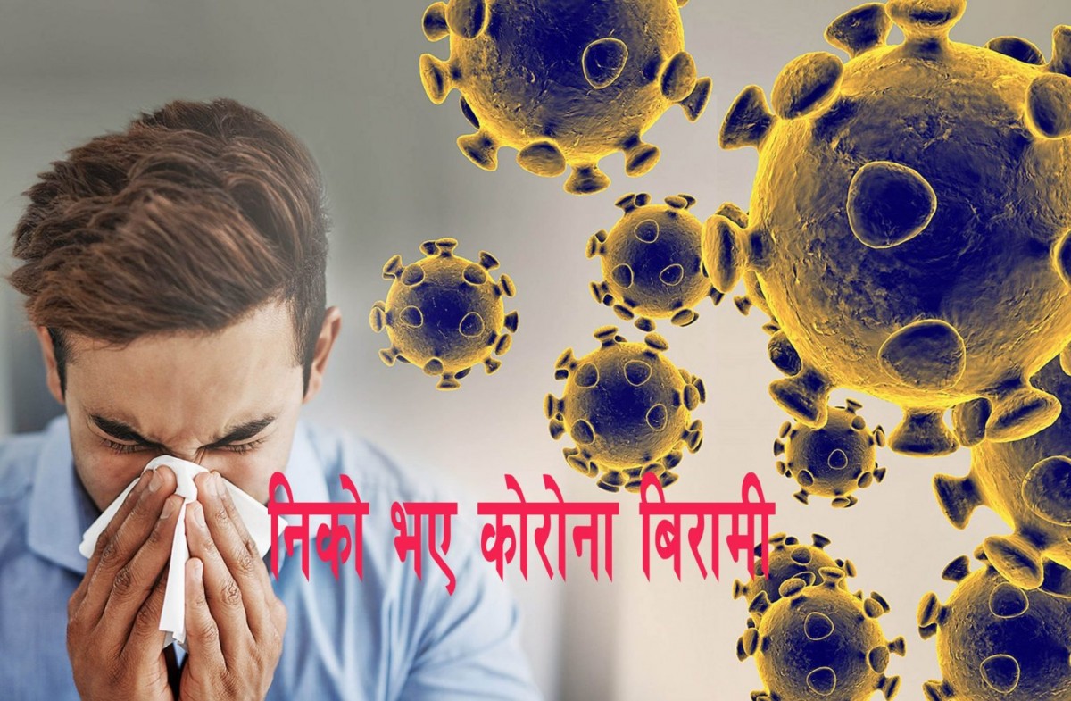 पछिल्लो २४ घण्टामा  थप ७९८९ जना कोरोना संक्रमणमुक्त