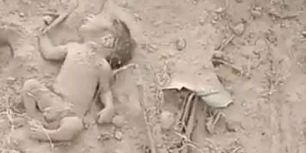 जिउँदै बच्चालाई माटो गाडेको भनिएको घटनामा भेटियो यस्तो रहस्य