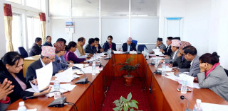 निजामती विधेयक प्रतिवेदन समितिबाट पारित  (पूर्णपाठ)