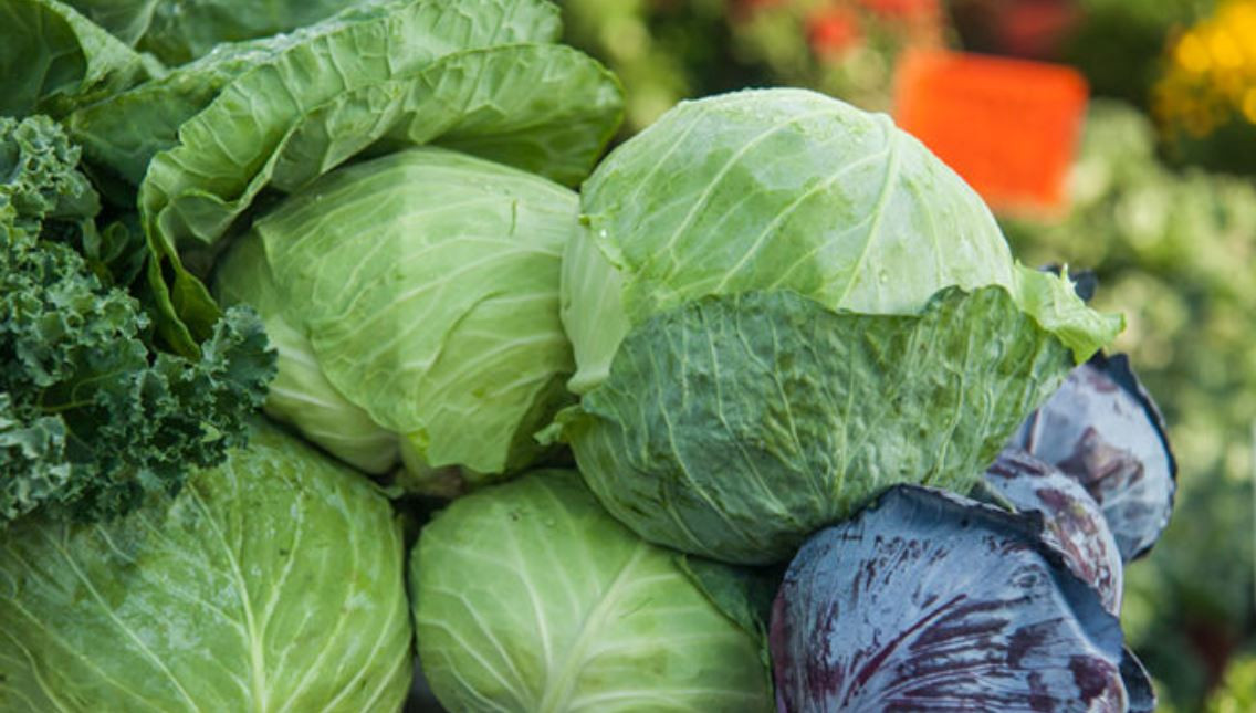 आज कालीमाटीमा लोकल बन्दा प्रतिकिलो १२,  कुन तरकारीको मूल्य कति?