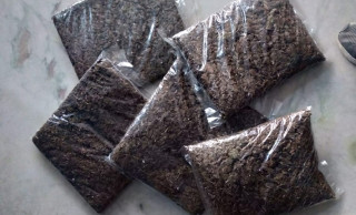 एम्बुलेन्सबाट ५१ किलो गाँजा बरामद