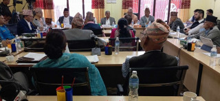 तीनकुने घटनामा सुरक्षाकर्मीमाथि गाडी गुडाउनेसम्मको प्रयास क्षम्य हुन सक्दैन : गृहमन्त्री