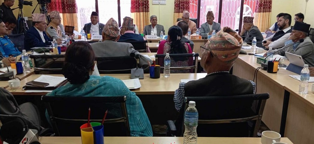 अब तीनकुने क्षेत्रमा कार्यक्रम गर्न नदिन समितिको निर्देशन