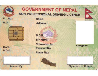 यातायात विभागद्वारा १०७७ थान लाइसेन्स सार्वजनिक