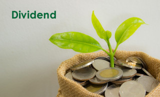 १२ बीमा कम्पनीको लाभांश घोषणा