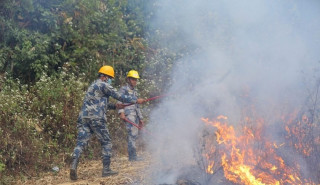 चन्द्रागिरिको सामुदायिक बनमा लागेको डढेलो नियन्त्रण लिने प्रयास जारी