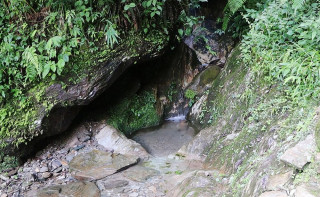 बागलुङ जिल्लाको १०६ खानेपानी मुहानमा दिशामा पाइने जीवाणु भेटियो