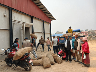 प्रयोगमा आयो शीतभण्डार, धमाधम आलु भण्डारण गरिँदै
