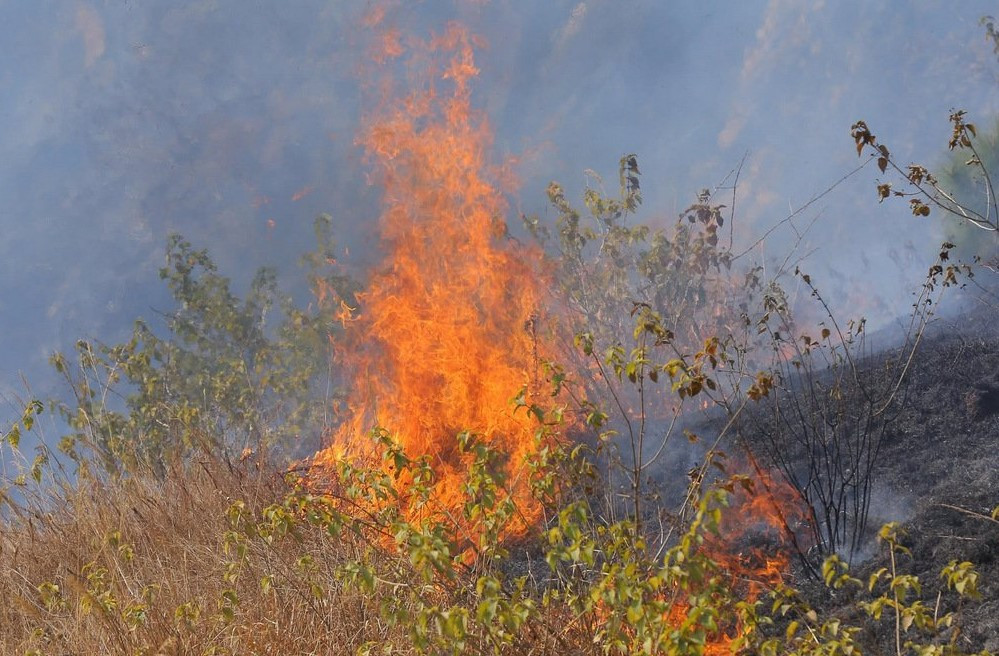 डढेलोमा परी एक युवतीको मृत्यु, चार घाइते