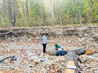 साझेदारी वन कार्यान्वयनपछि स्थानीयलाई रोजगारी