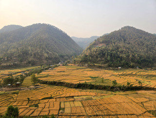 बार्नेखोलाको फाँट
