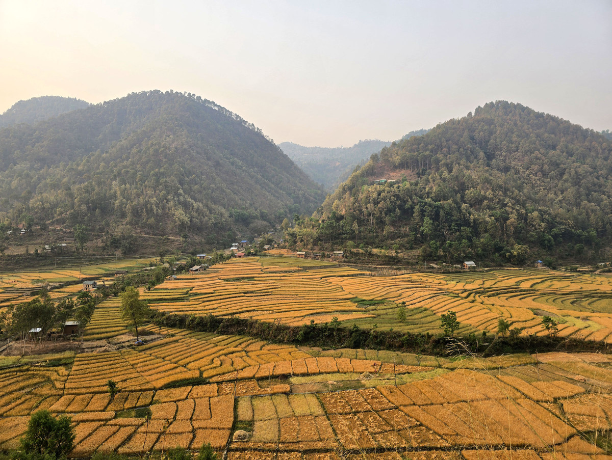 बार्नेखोलाको फाँट