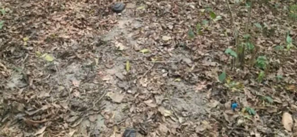 धरानको पानबारीस्थित  जंगलमा मृत भेटिएकी महिलाको पहिचान खुल्यो