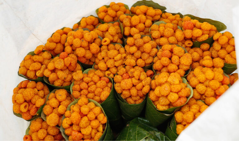 मुखै मिठाउने ऐंसेलु