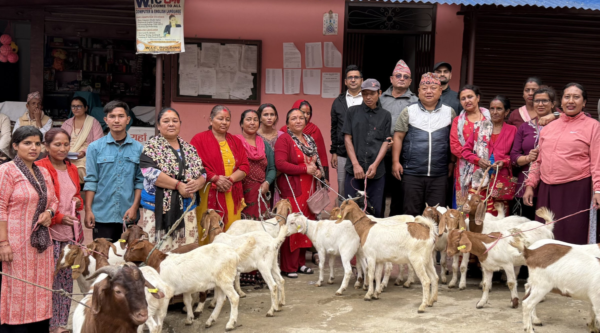 उत्पादनमा जोड्न  स्याङ्जाको महिलालाई बाख्राका पाठी र बोका वितरण