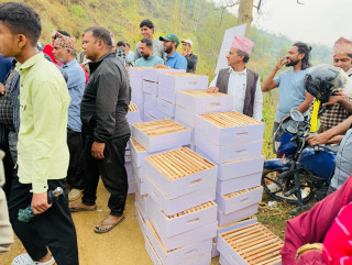 अर्घाखाँचीको मौरीपालक किसानलाई मौरीसहित आवश्यक सामग्री वितरण