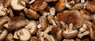 सिताके च्याउ प्रतिकिलो  ८००,  अन्य  तरकारी र फलफूलको  थोक मूल्य कति ?